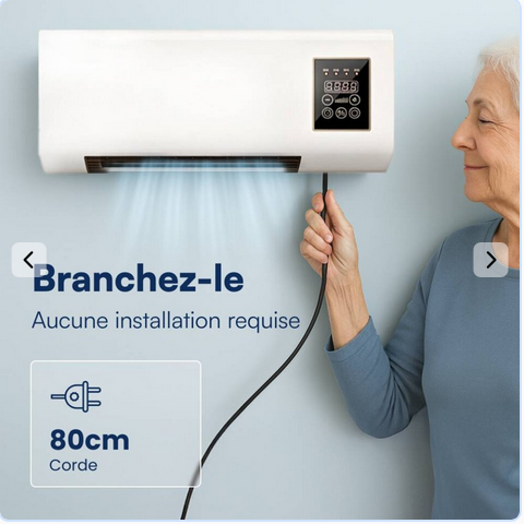 Screenshot 2026-05-18 at 11-34-44 EpiCooler Climatiseur portable bi-mode à montage mural avec refroidissement intelligent